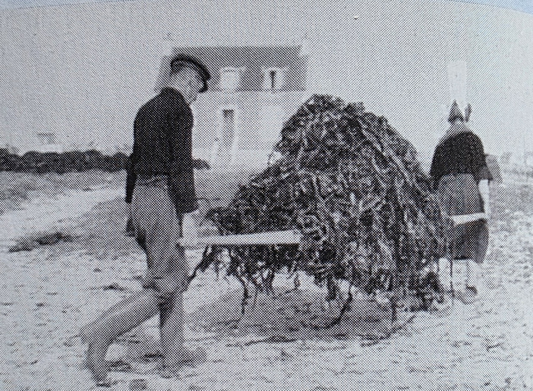 1960 : Le Goémon - Don de la Mer
