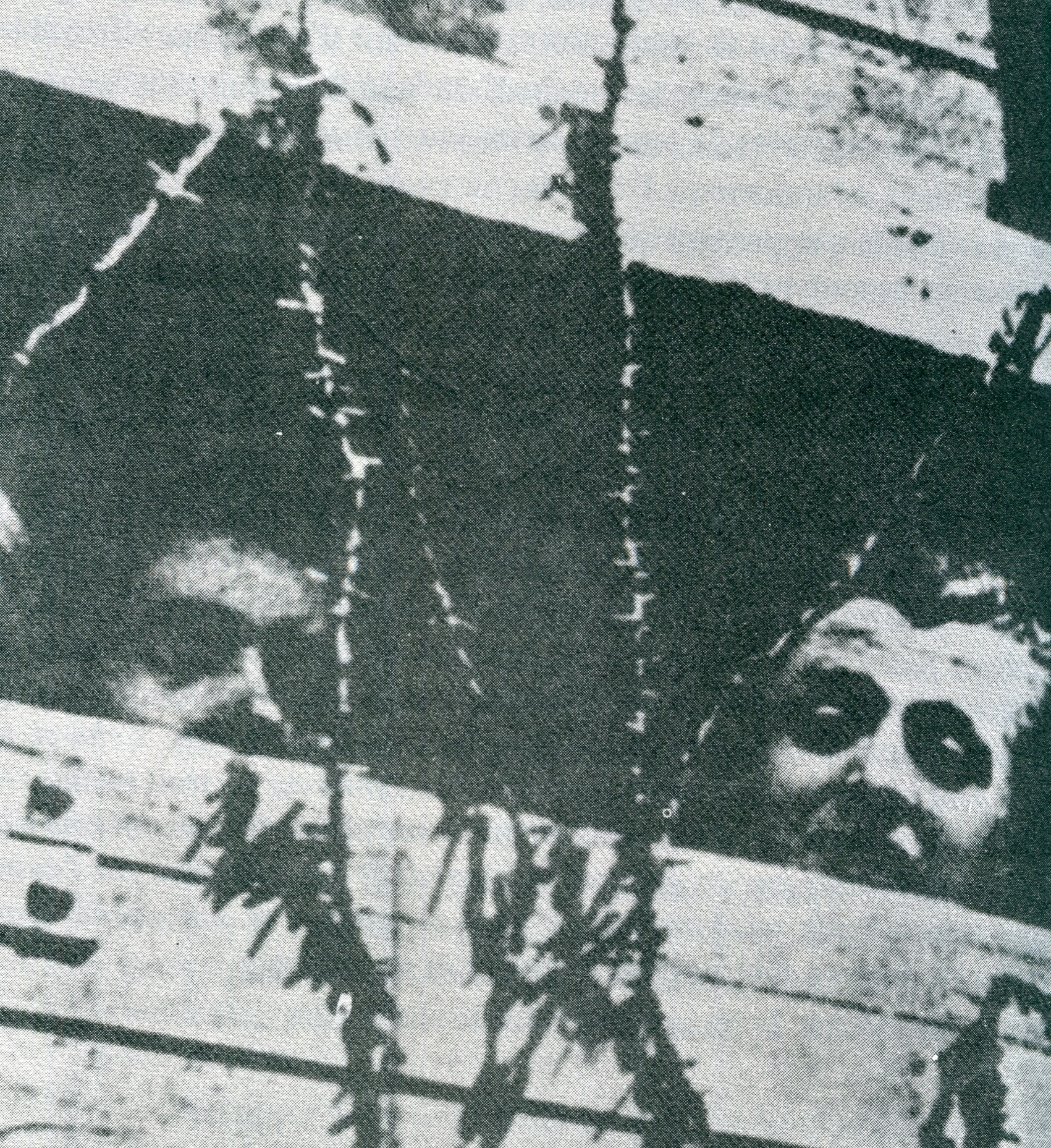 Les frères Dupouy 