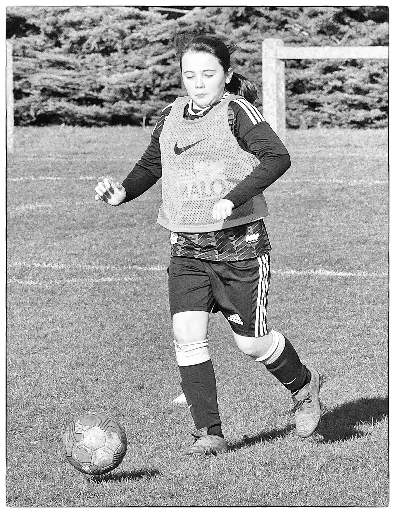 DSC 7648 Nik Nik DxO