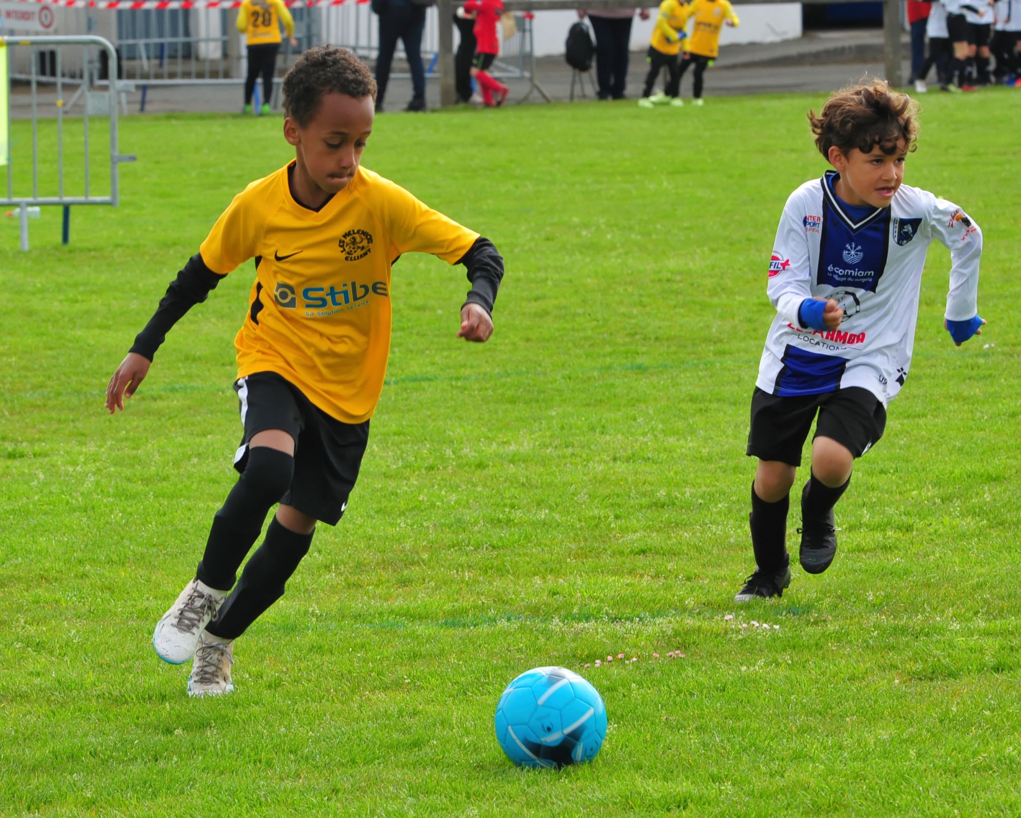 DSC 4539 DxO