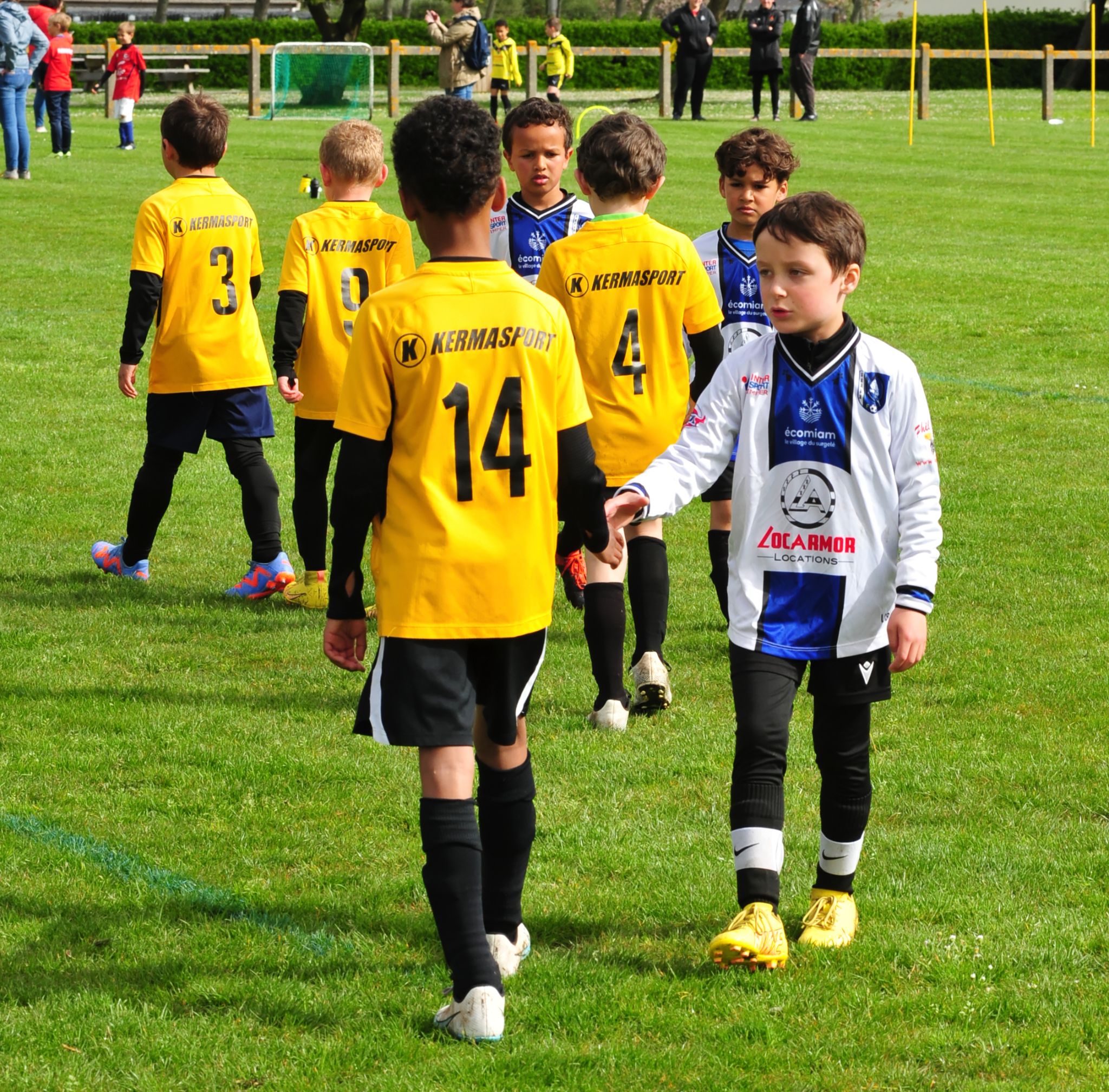DSC 4549 DxO