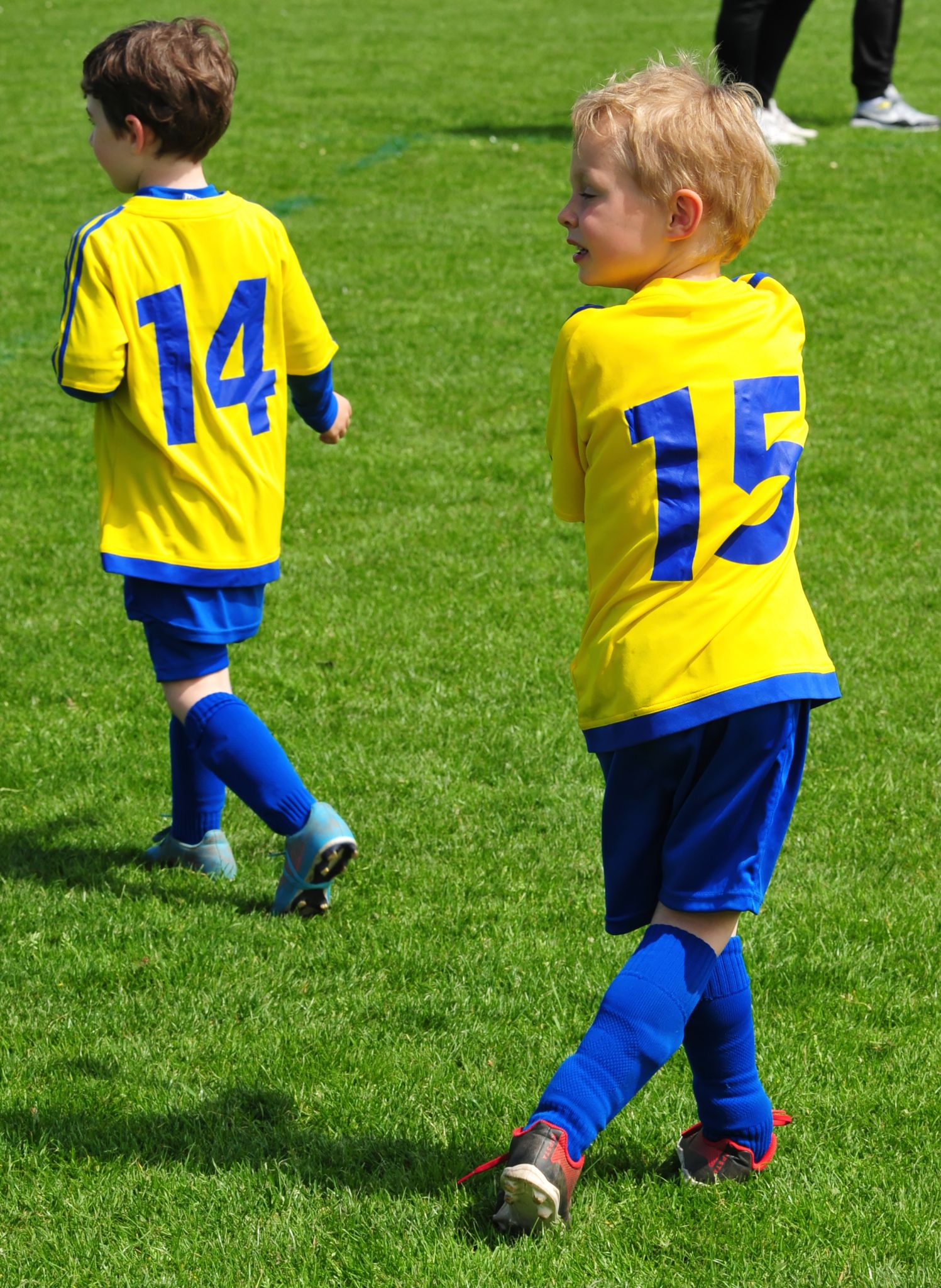 DSC 4928 DxO