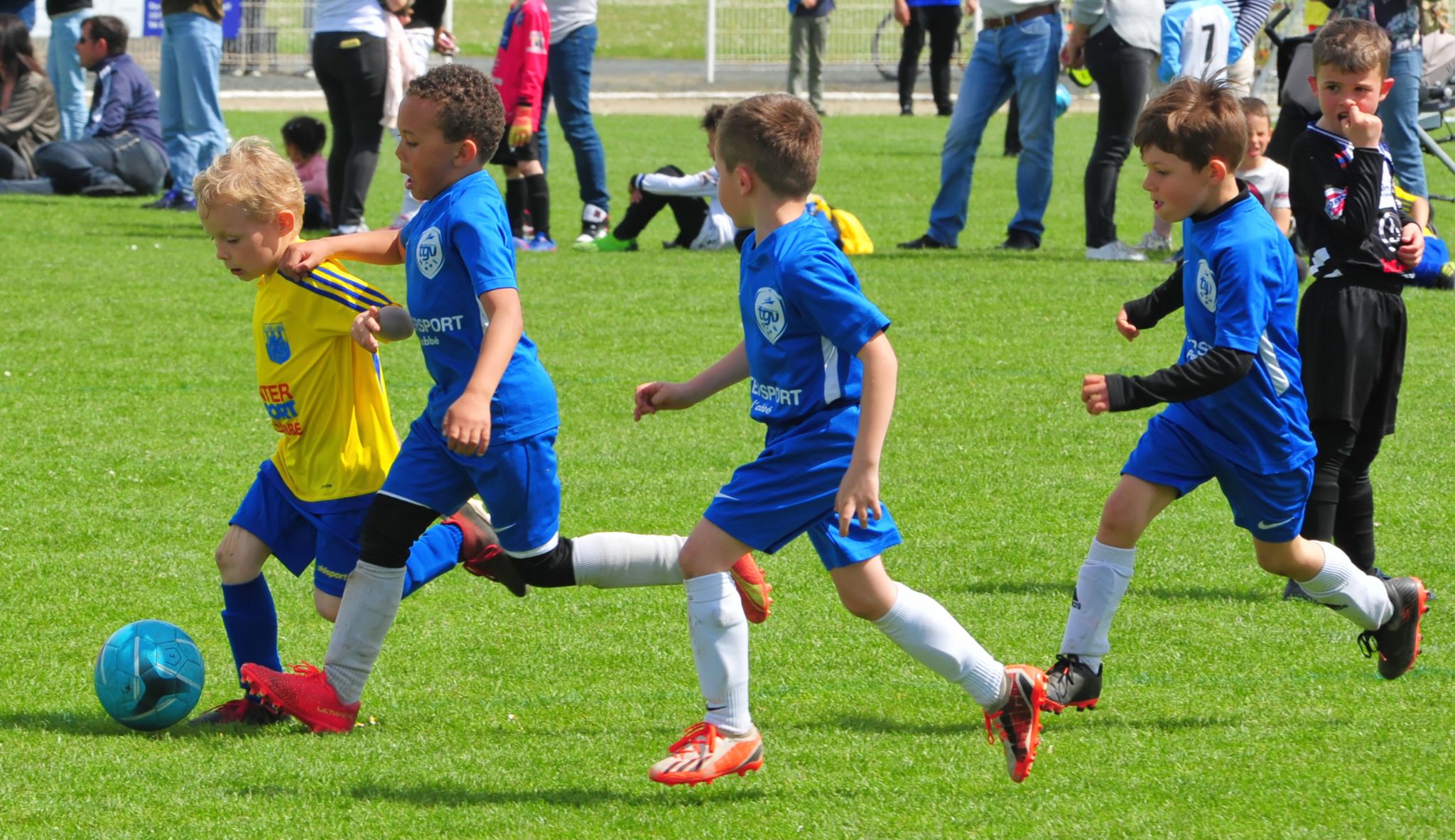 DSC 5256 DxO