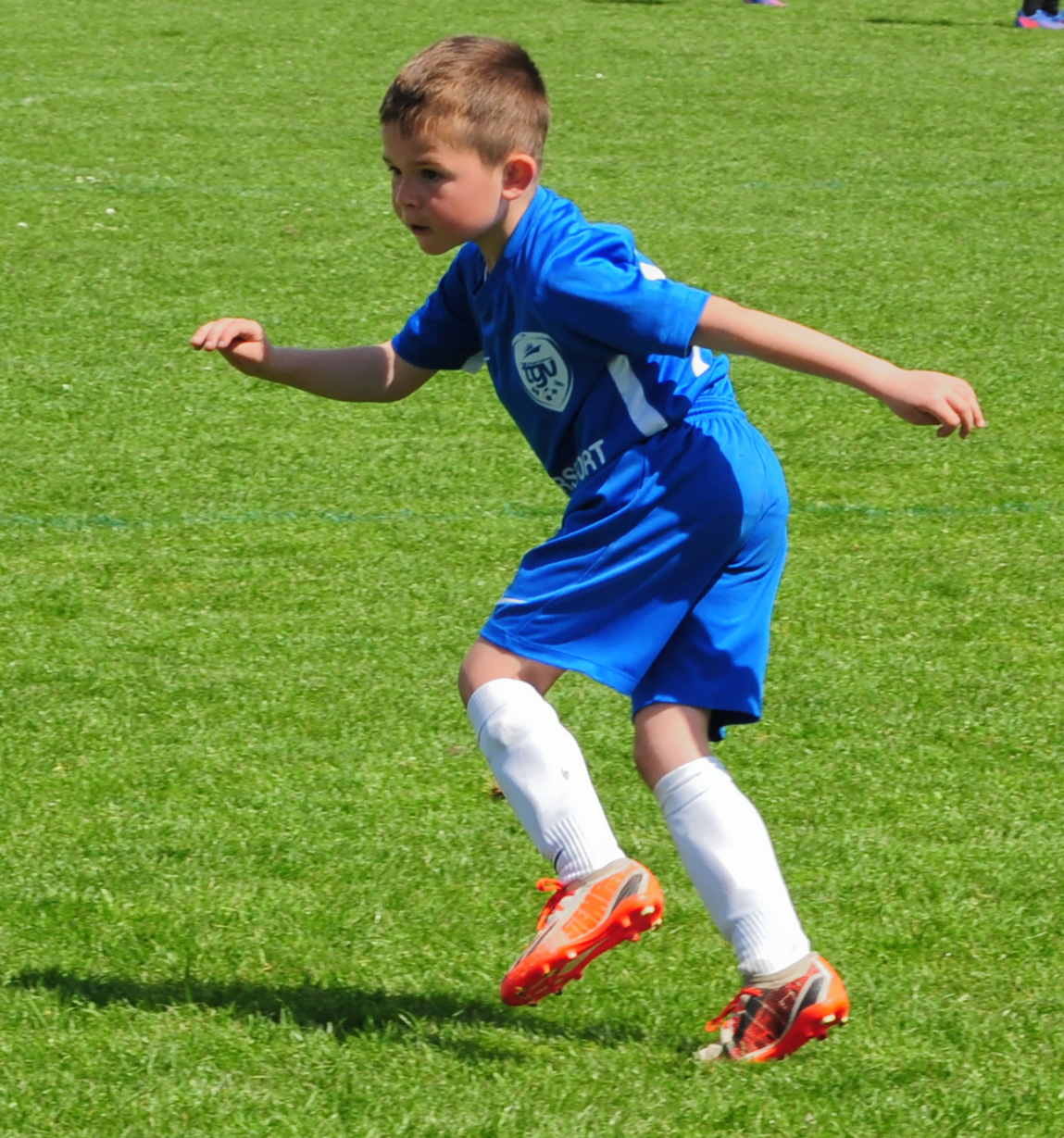 DSC 5331 DxO