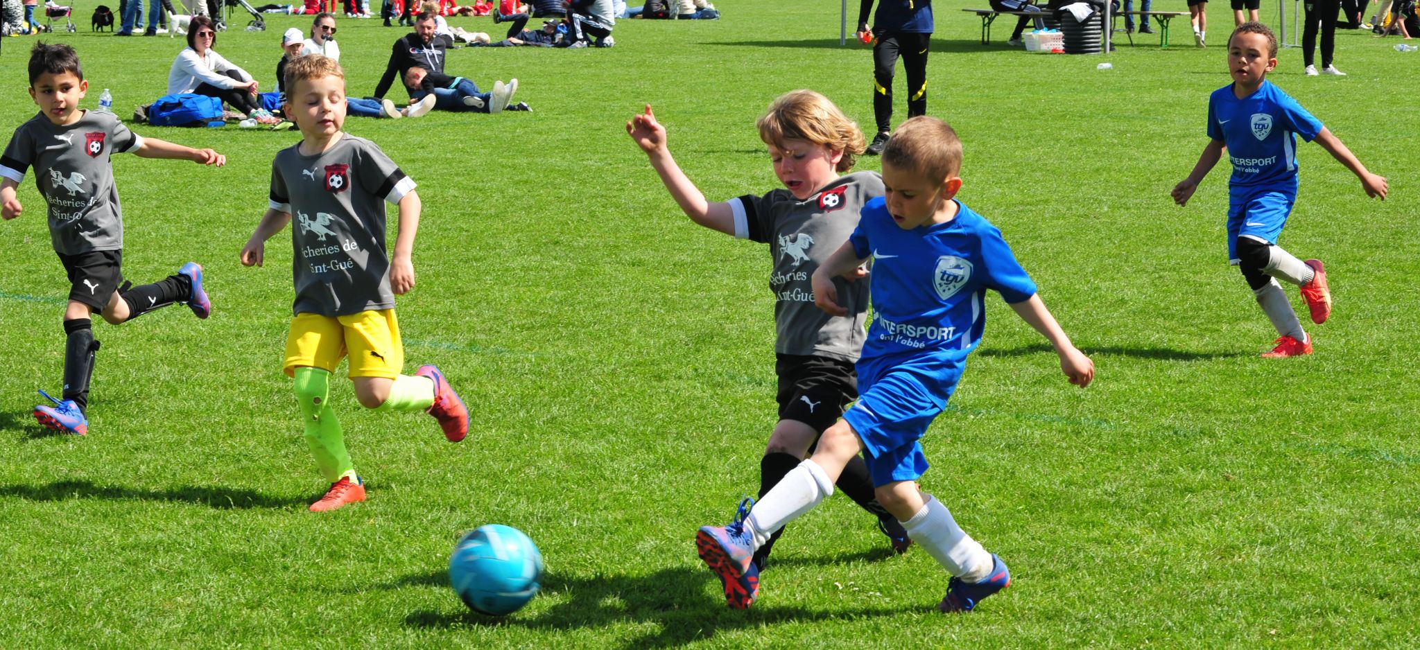 DSC 5338 DxO