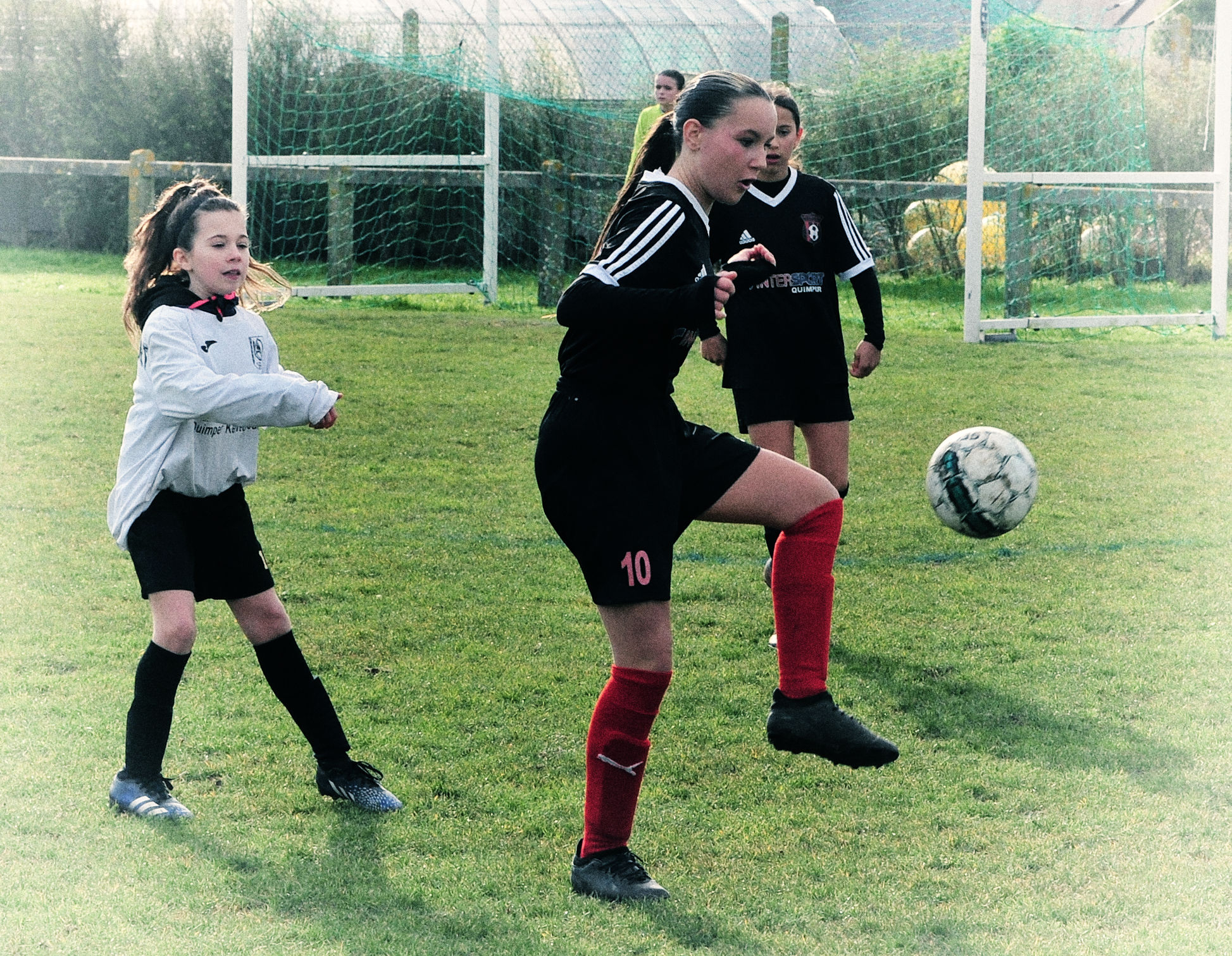 DSC 5986 Nik DxO