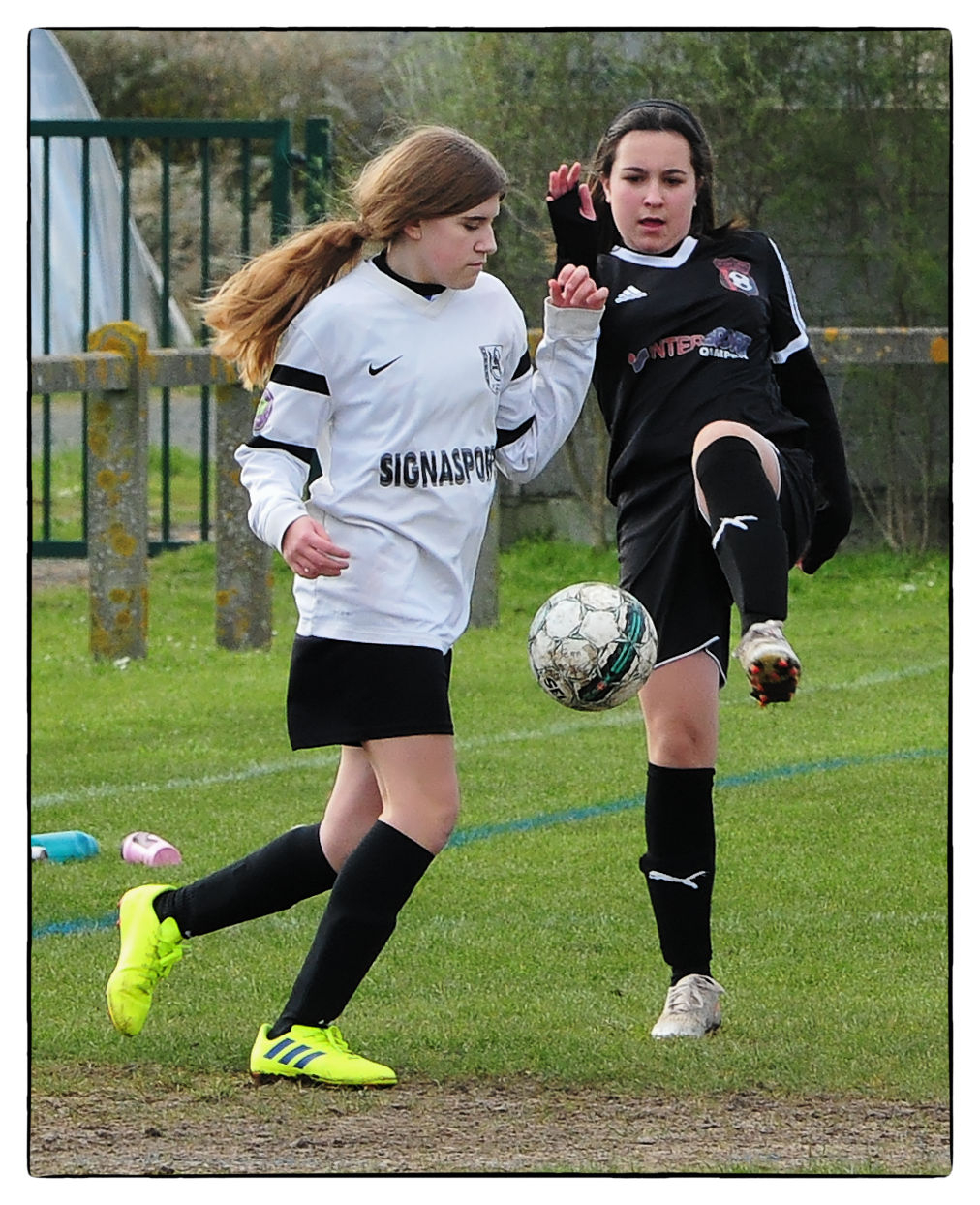 DSC 6037 Nik DxO