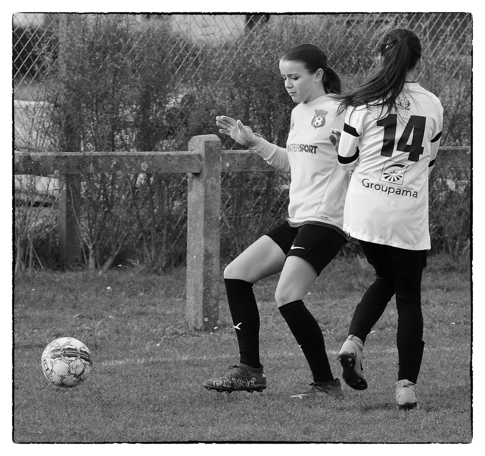 DSC 6135 Nik DxO