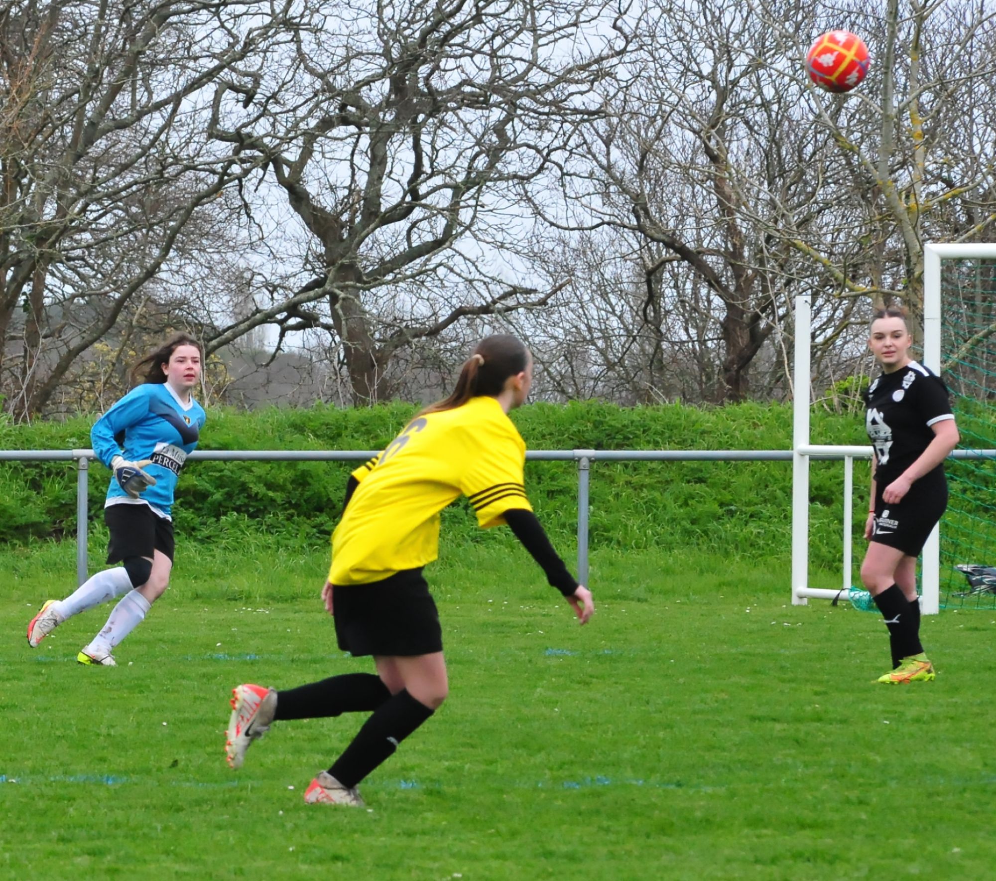 DSC 8607 DxO