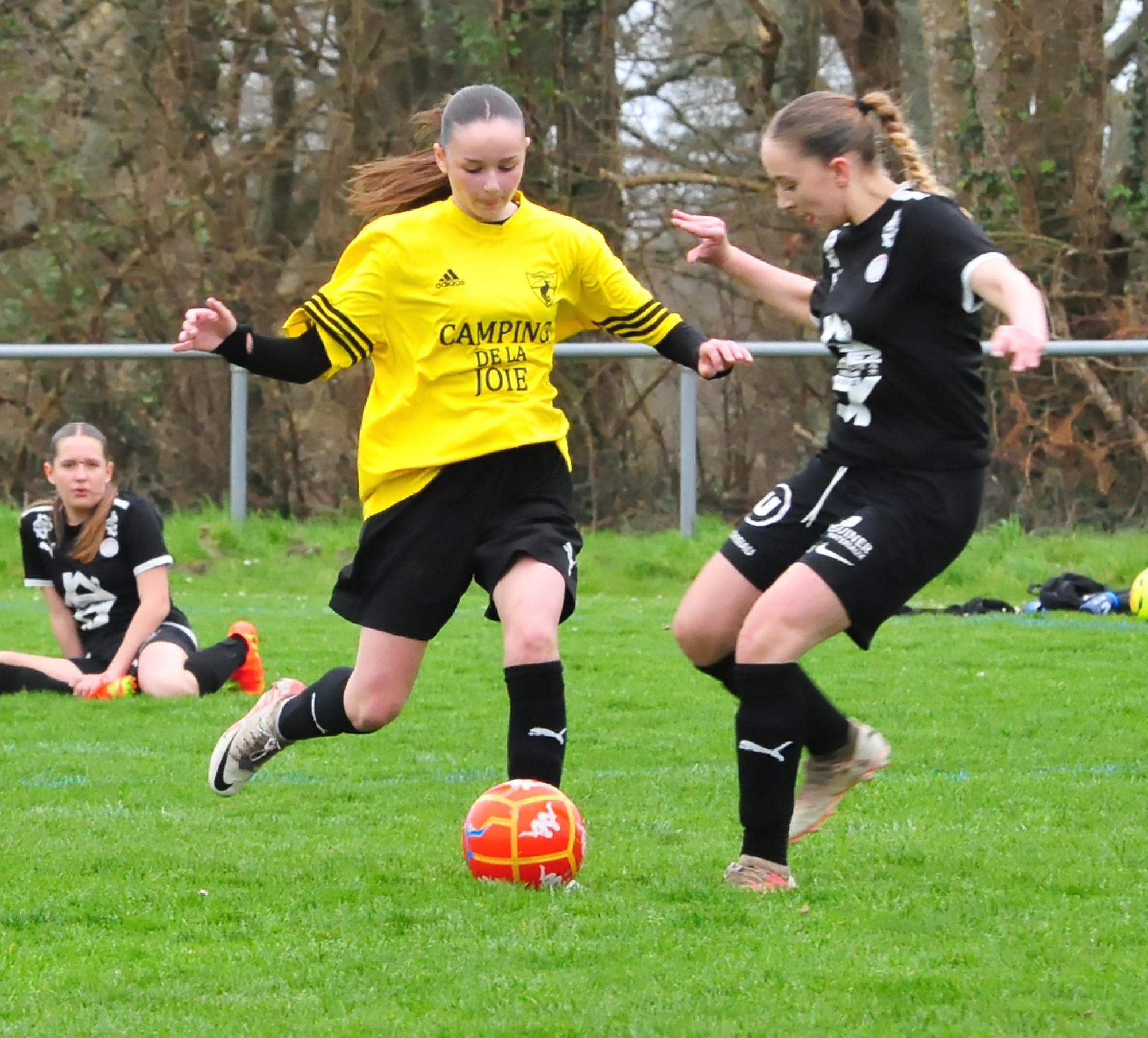 DSC 8698 DxO