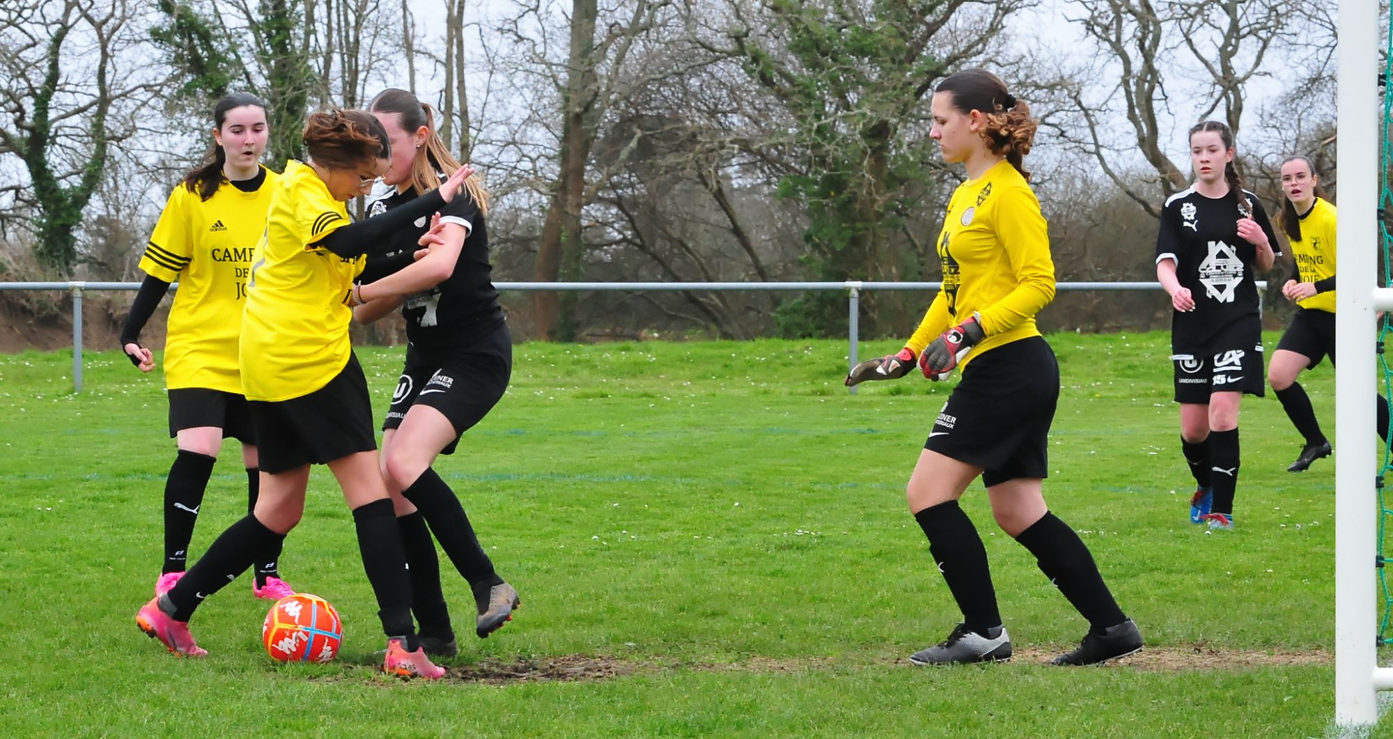 DSC 8737 DxO