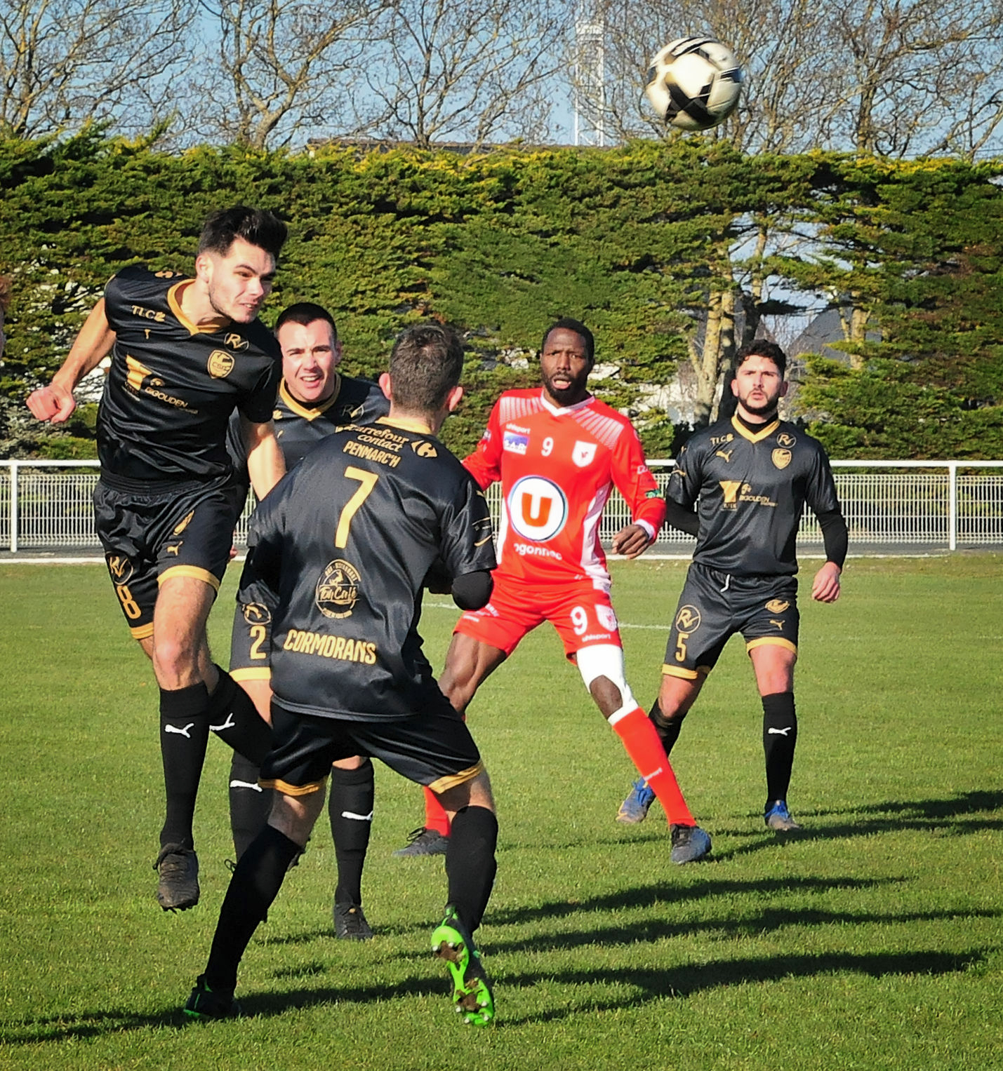 Tête de Logan FREYDIEU