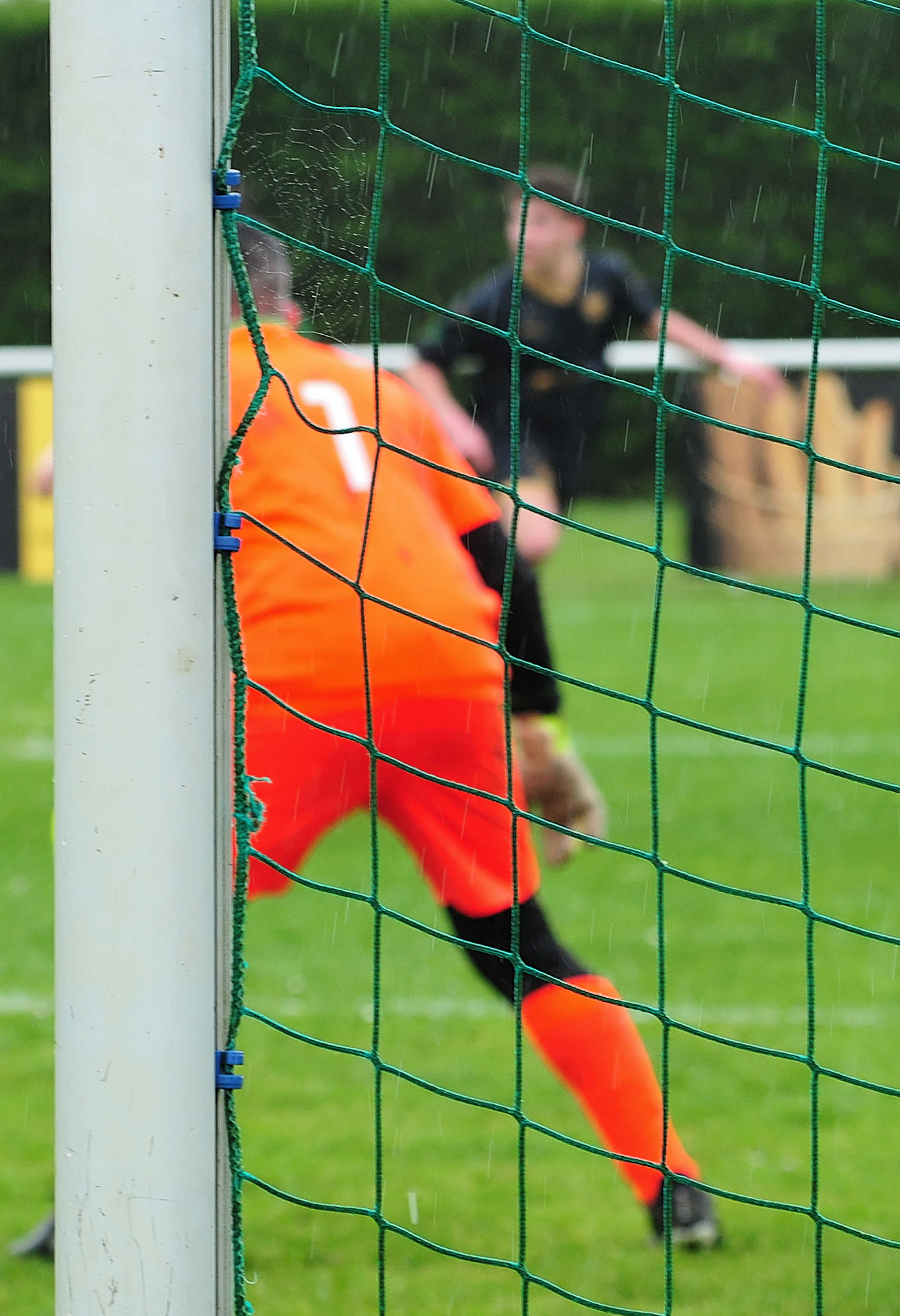 Les toiles d'araignées restantes  vont être rapidement  "nettoyées" par les Cormorans.