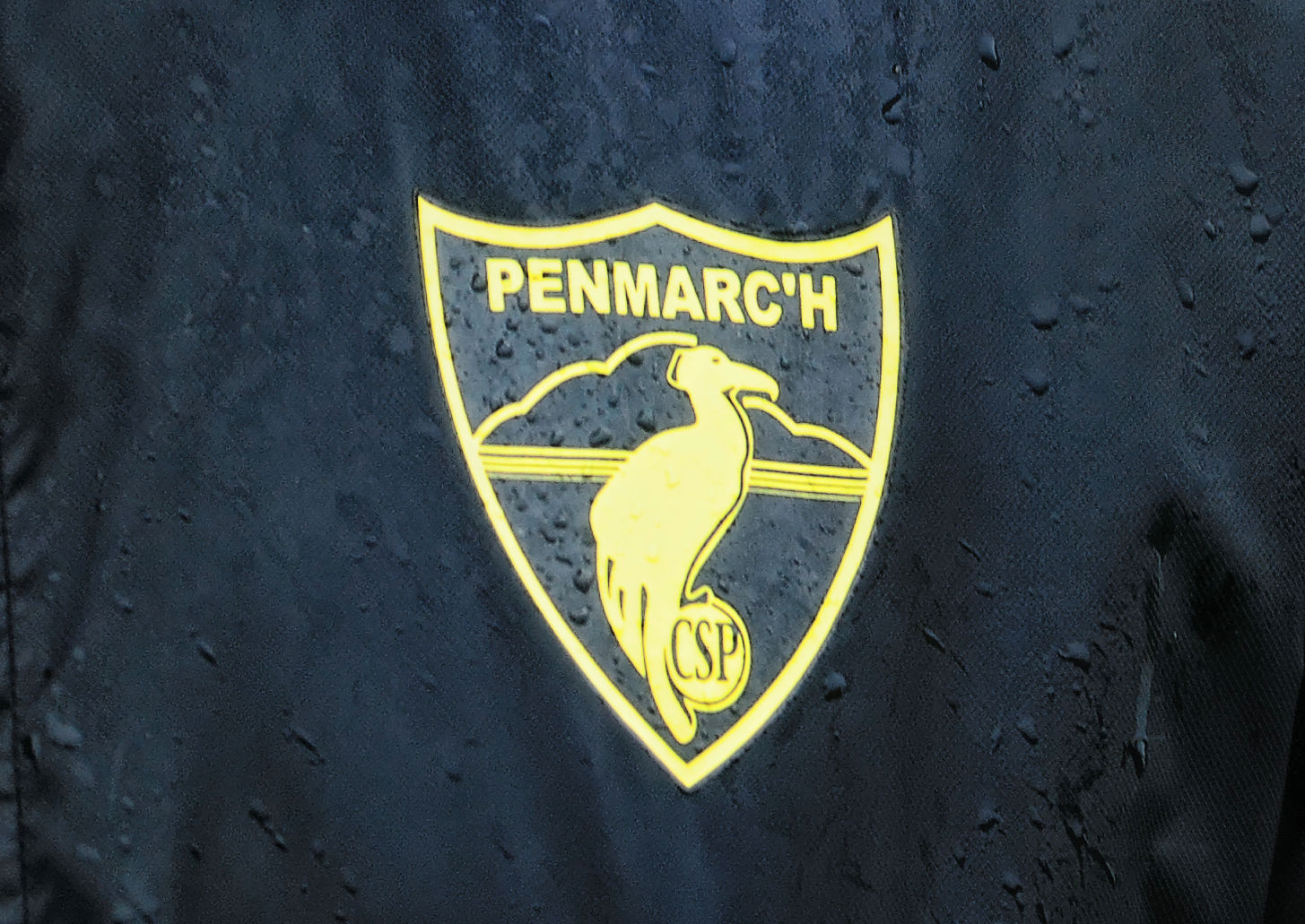 Le Cormoran est à l'aise sous l'eau comme hors de l'eau ....