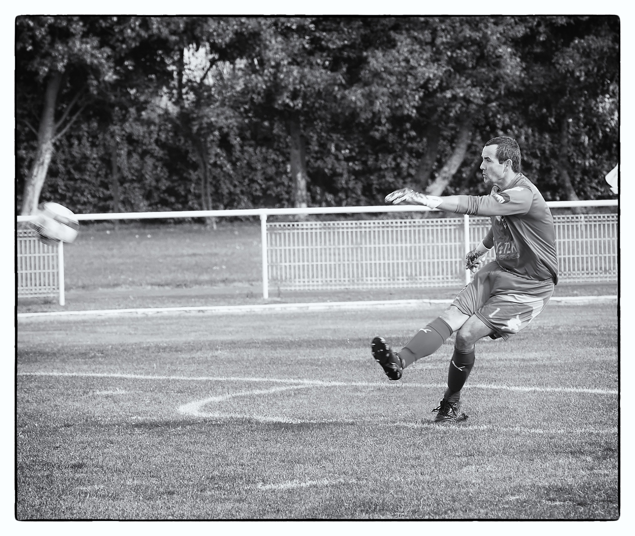 311115411 10225290978635279 7344261077119597169 n