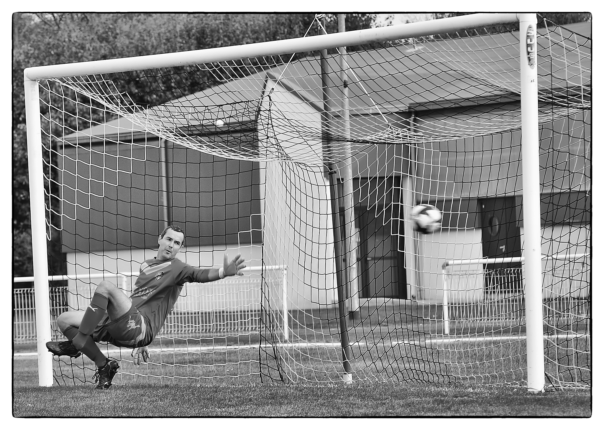 311128355 10225290982875385 1409615933489276538 n