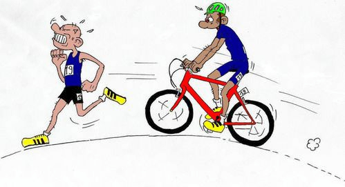 363004470 10232175151908008 4624572586306353427 n DxO