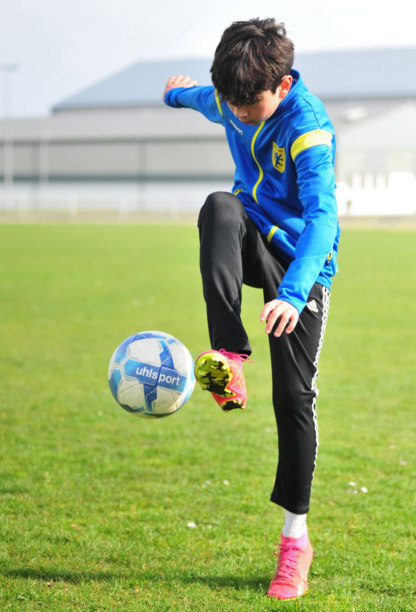 Marius a une fois encore fait la touche...merci !