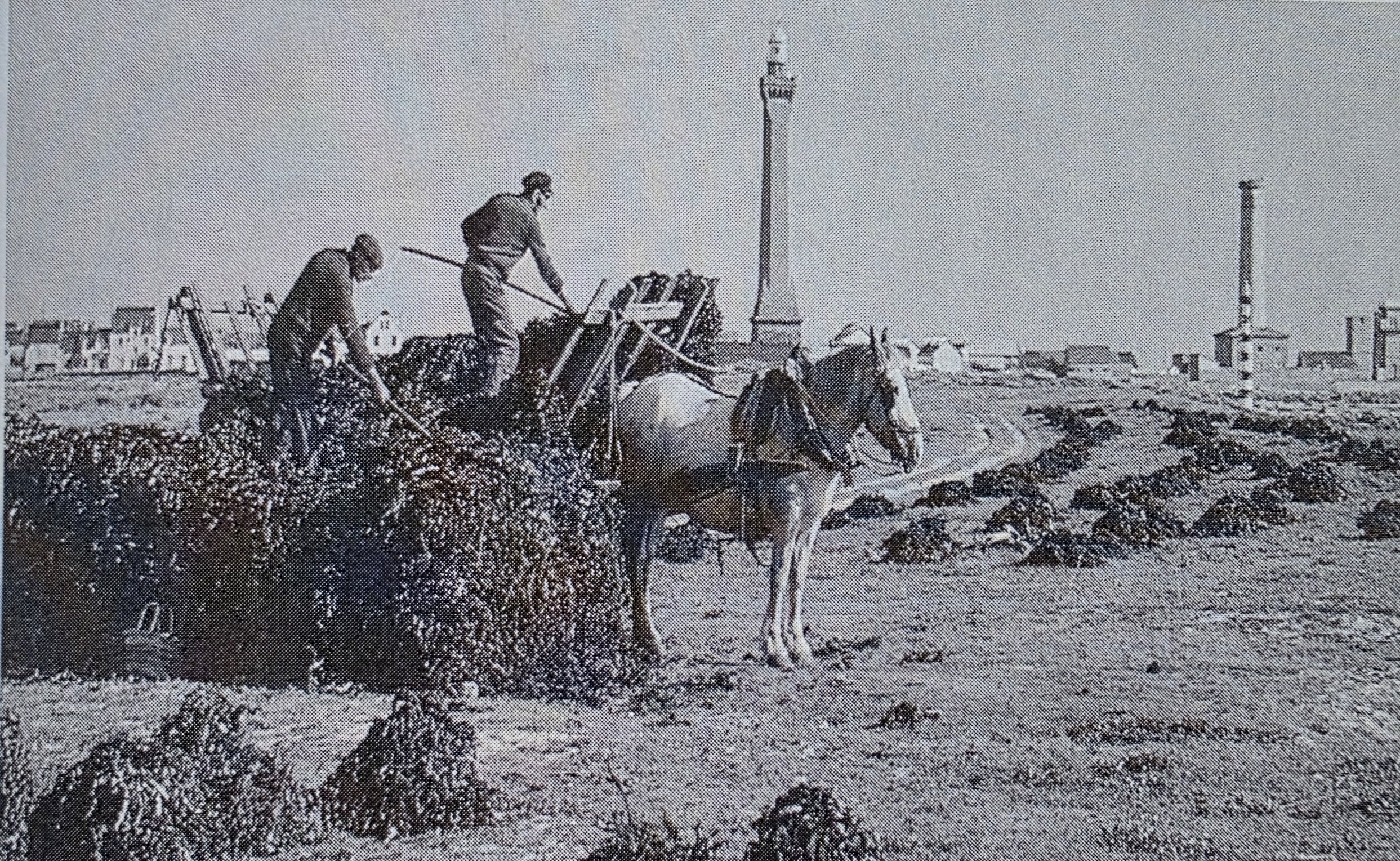 Alain Guénolé et Vincent Larnicol