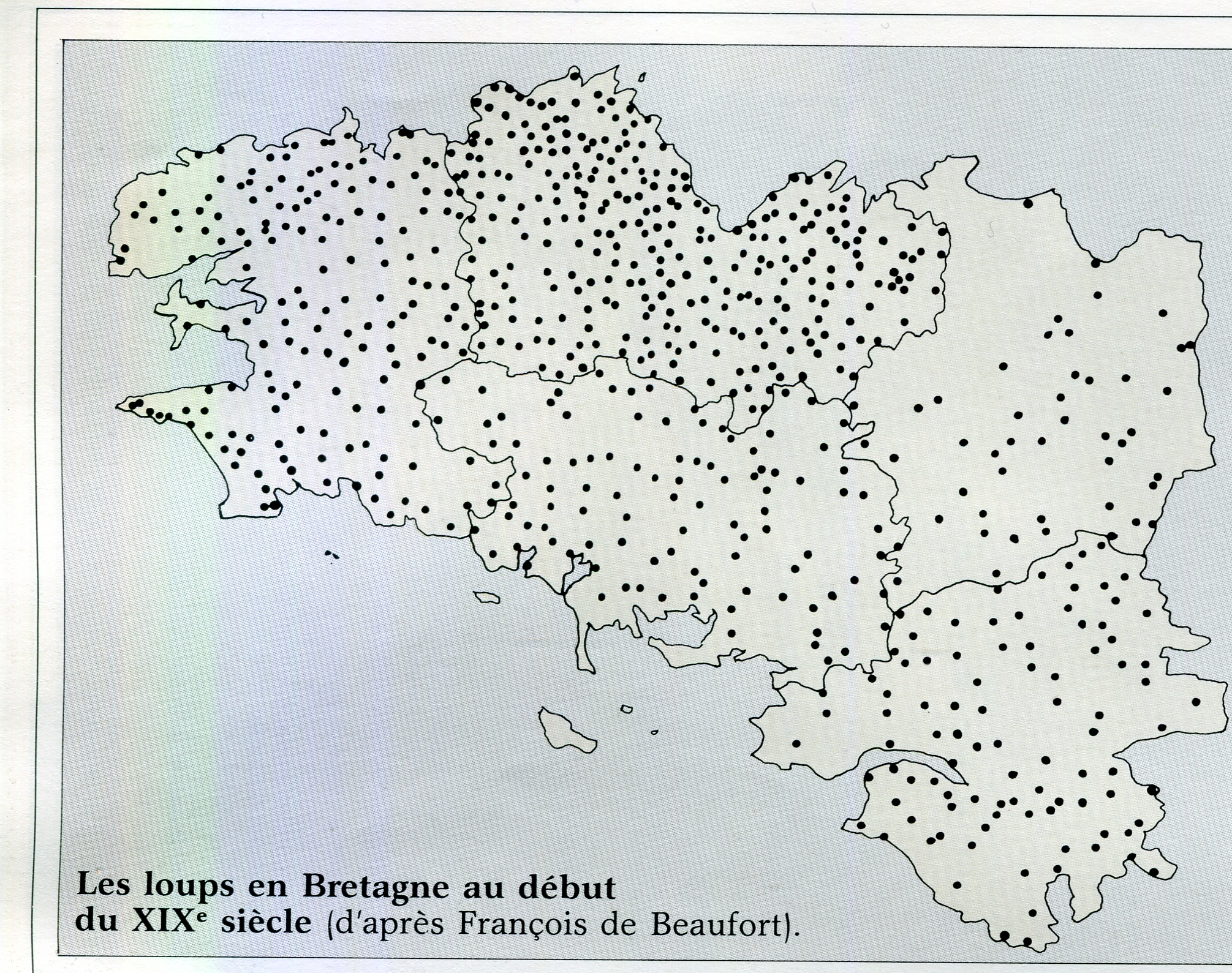 Loup008