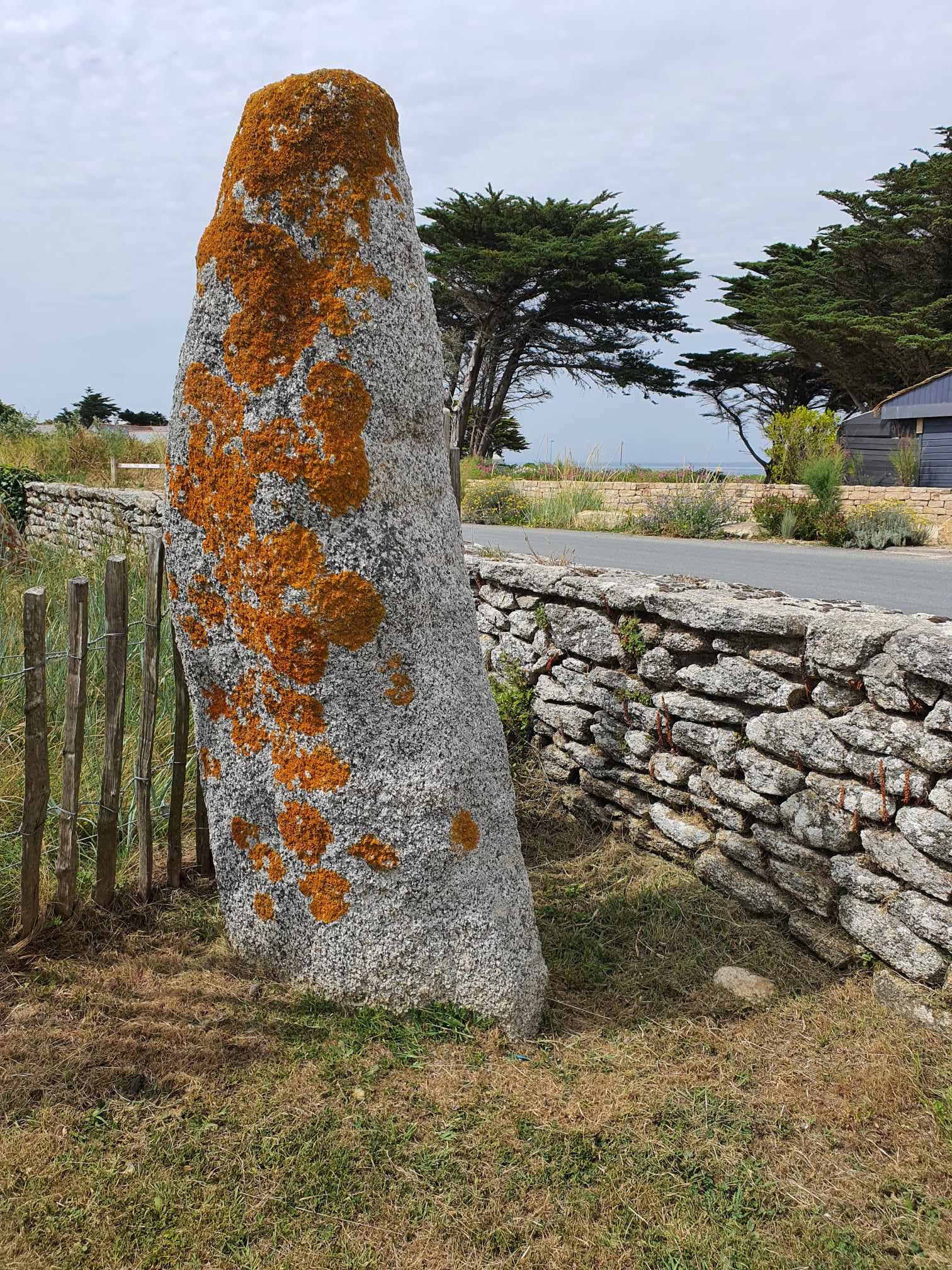 432412522 1493280631254351 995536140735548349 n