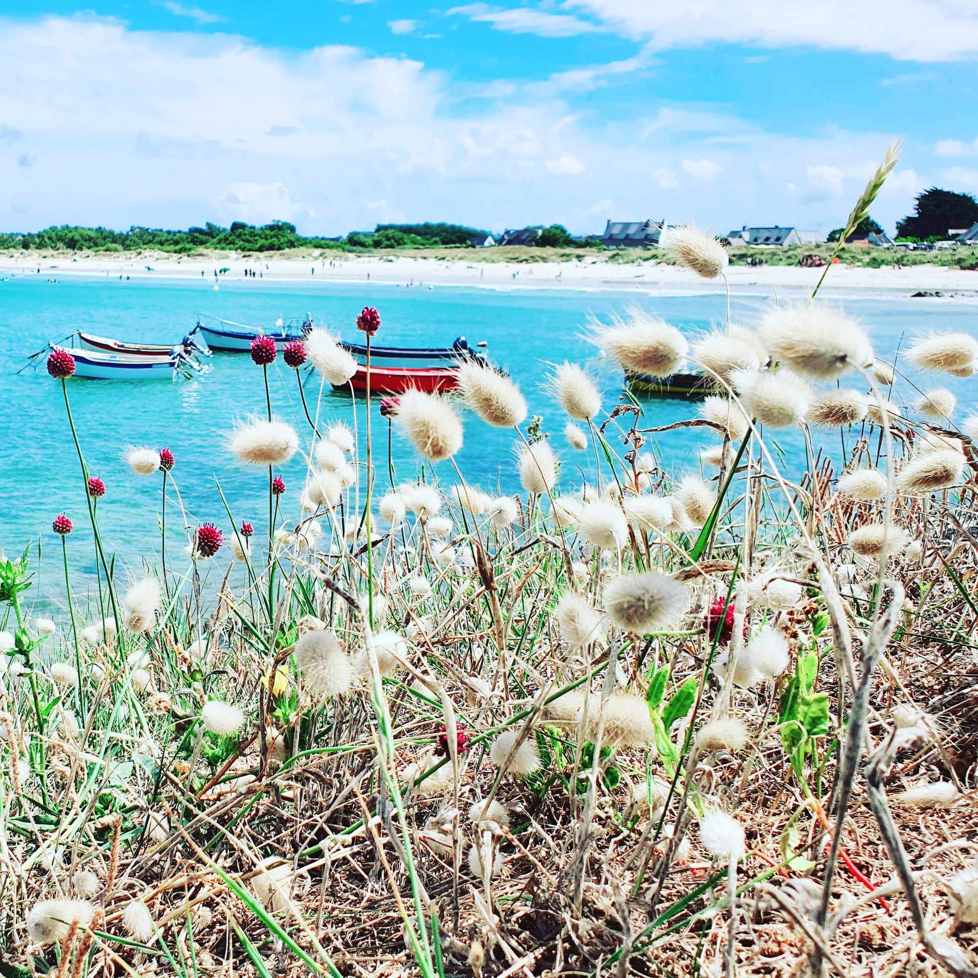 432438836 428928999606197 5819491169156156792 n