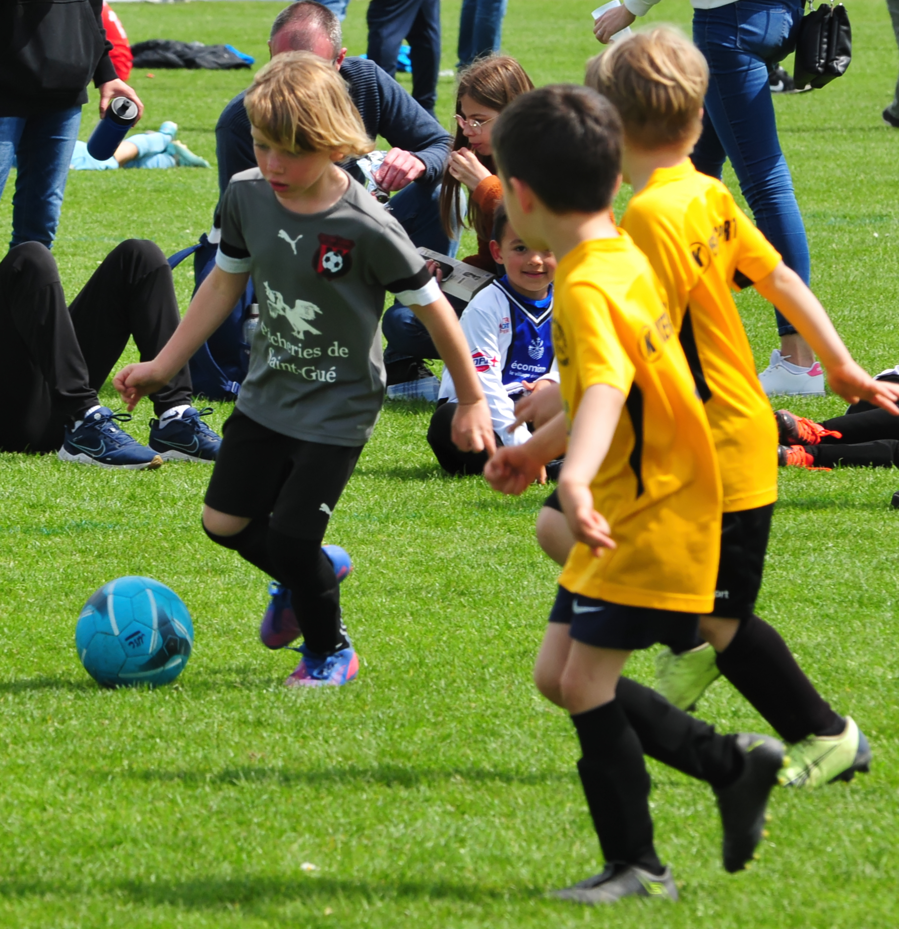 DSC 5184 DxO