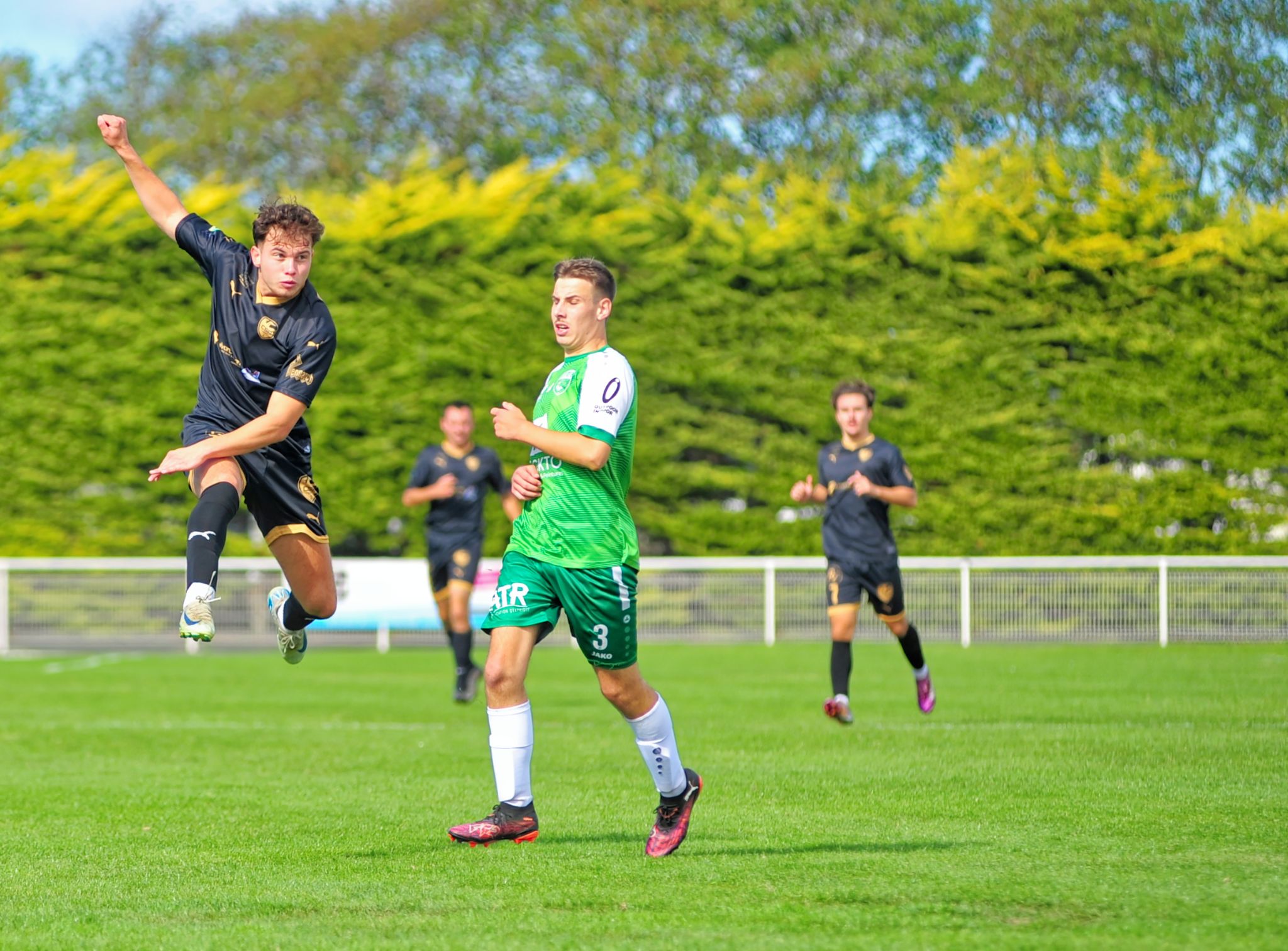 28 Septembre jour de COUPES